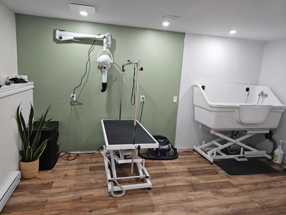 Aeolus Anionic Wall mounted  Fluff Dryer