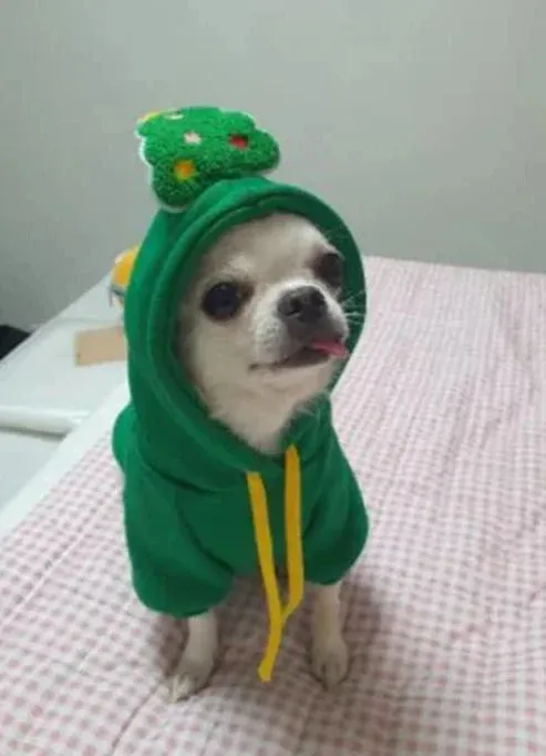 Christmas Dog Hoodie – Warm Elk & Santa Coat for Dogs & Cats