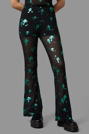 Fun-Gi Pant