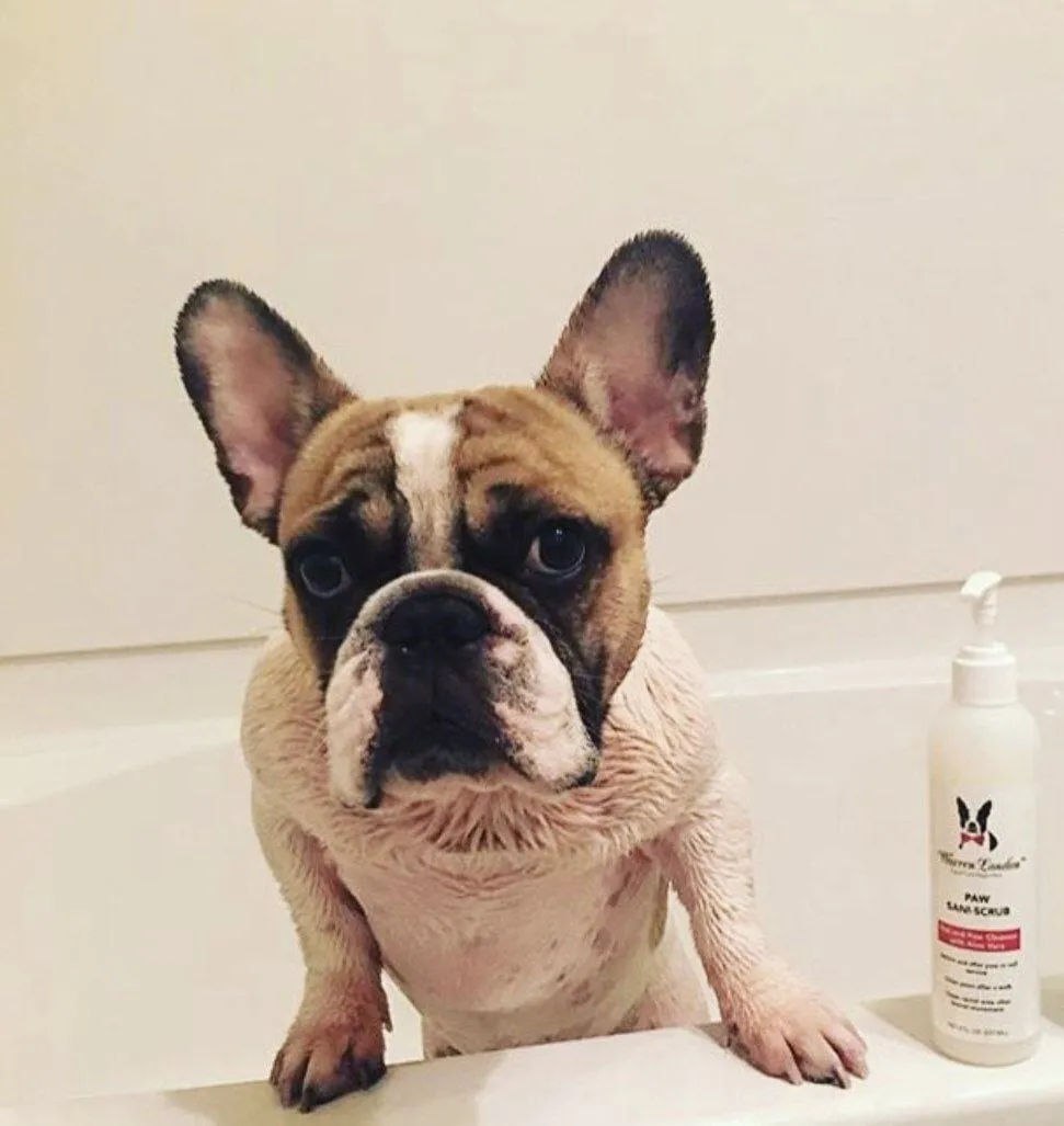 Paw Sani-Scrub - Gallon - Paw and Nail Cleanser